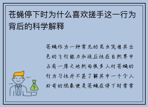 苍蝇停下时为什么喜欢搓手这一行为背后的科学解释